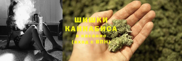 шишки Алексеевка