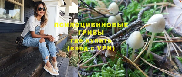Альфа ПВП Алексин
