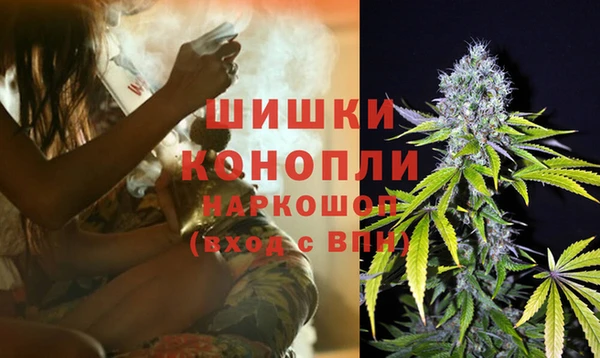 шишки Алексеевка
