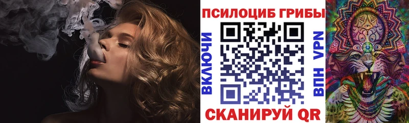 Галлюциногенные грибы MAGIC MUSHROOMS  blacksprut ССЫЛКА  Ленинградская  купить  
