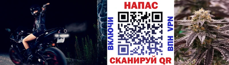 Шишки марихуана ГИДРОПОН  Ленинградская 